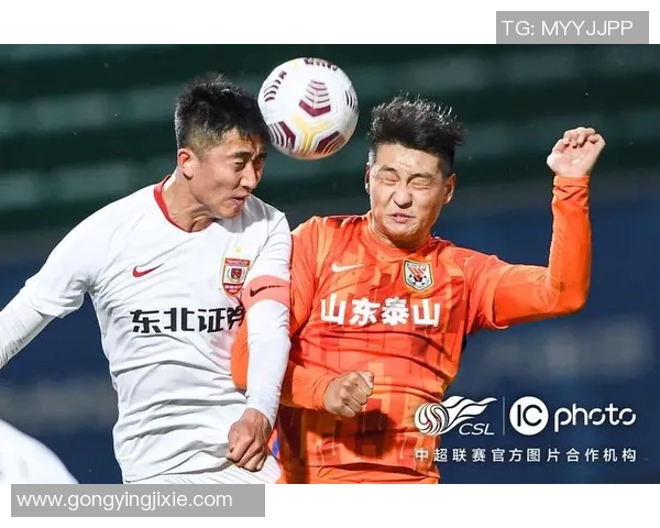 南京乒乓球队全国锦标赛拼搏历程展现团队精神与奋斗不息的决心