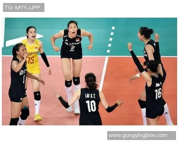 南京排球队的节奏揭秘与深度解析探讨排球运动的魅力与技巧