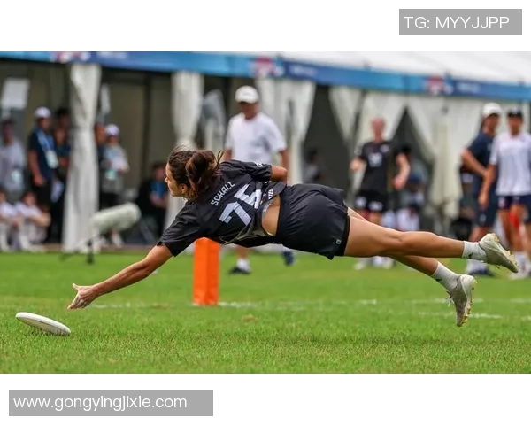 2026飞盘耐力排行榜：深圳飞盘队位居第10名